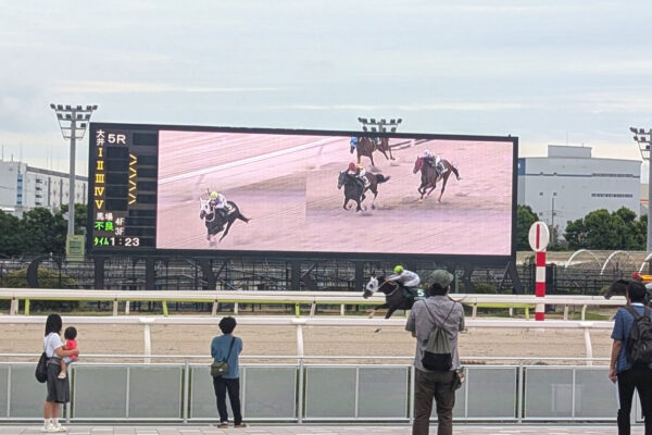 xxxxx競馬場大型ビジョン
